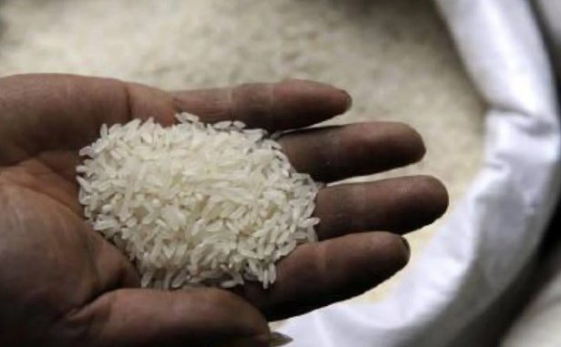 Indian rice 2025
