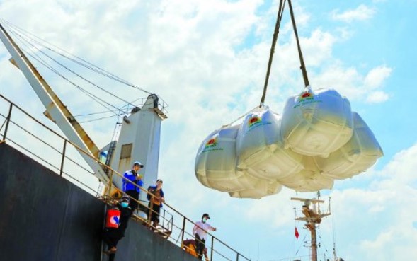 Viet Rice exports 2025