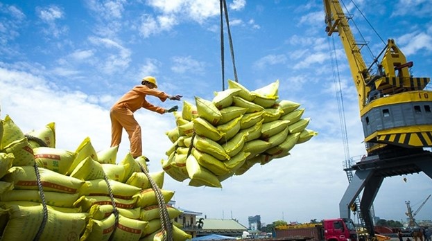 Vietnam Rice